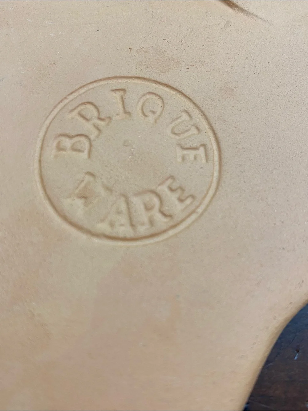 Vintage Brique Ware Terracotta Texas State Trivet - Armadillo